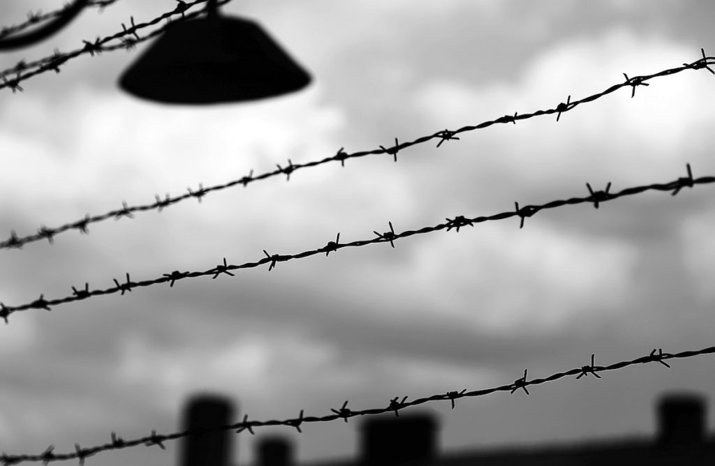 Moral Education in the Shadow of the Holocaust - Public Discourse