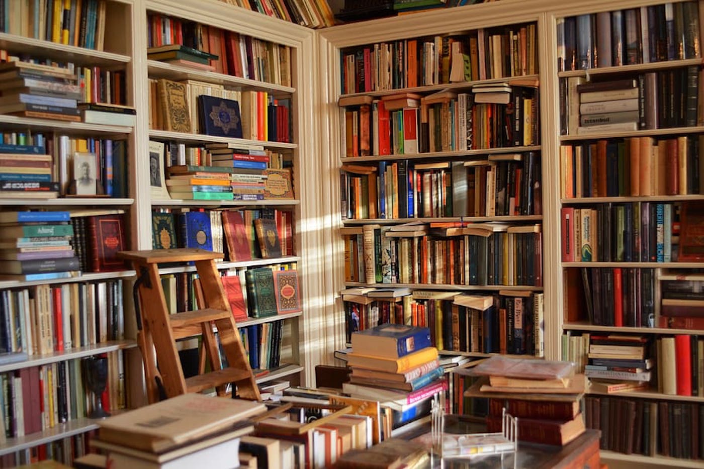 The Bookshelf: A Reader’s Discrimination