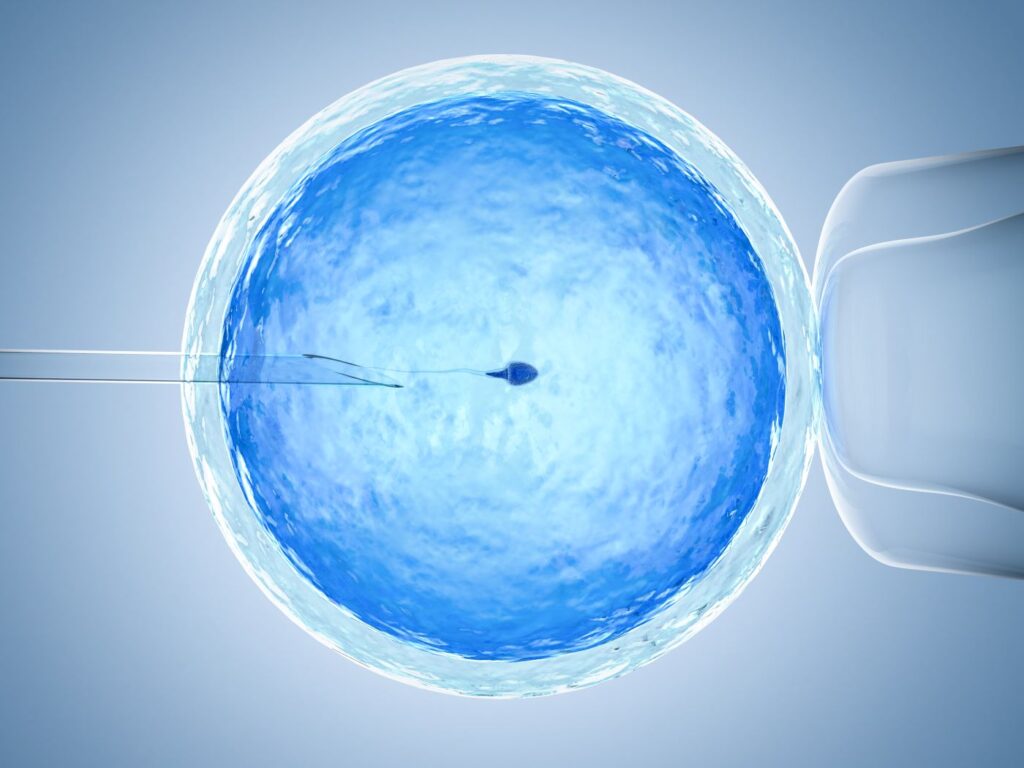 Ivf embryo transfer