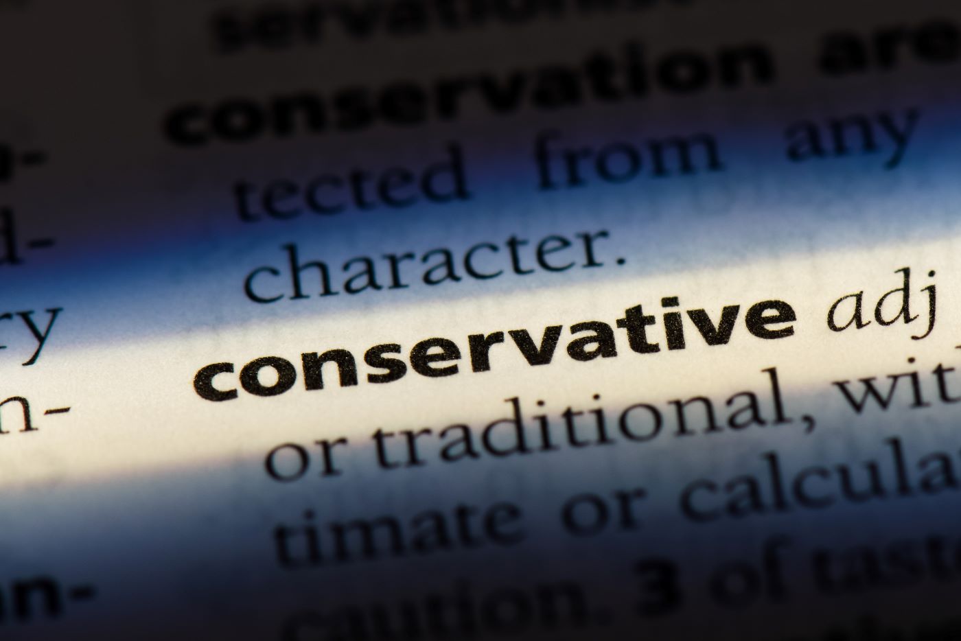 Conservative Wisdom or NewRight Dreams? Public Discourse