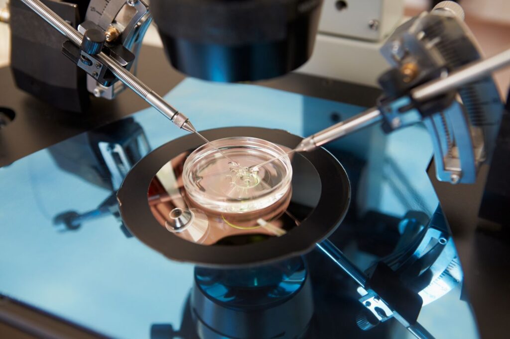 Laboratory fertilization of human eggs/IVF
