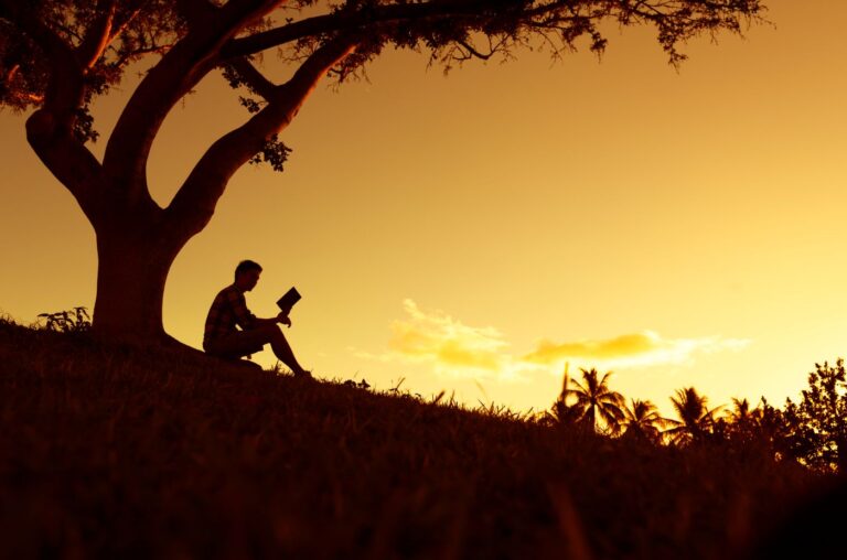 person reading a fantasy novel outside under a tree