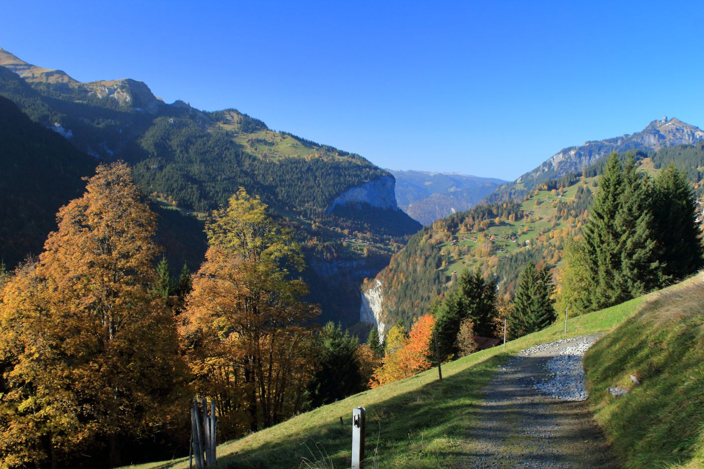 Political Philology: J. R. R. Tolkien Against the Leftists 