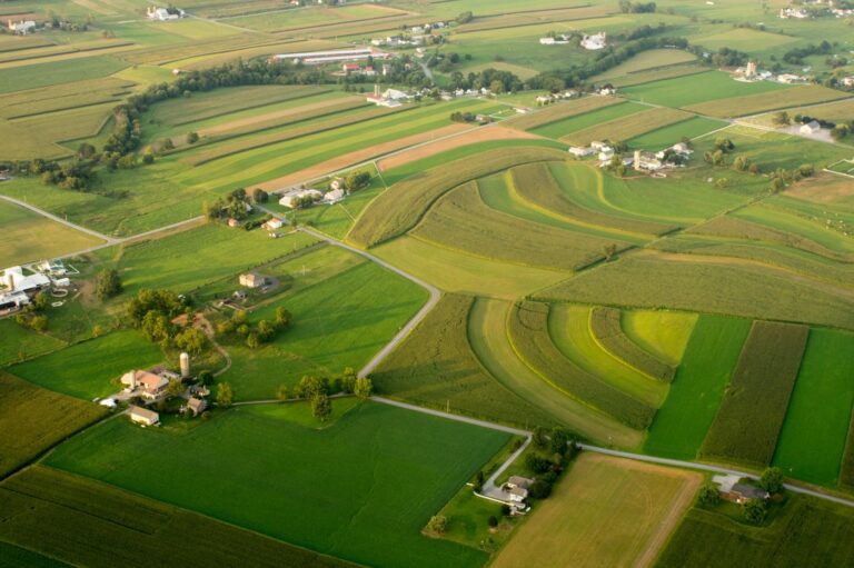 agricultural land