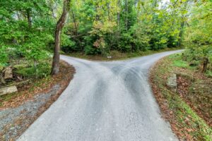 Fork in the road