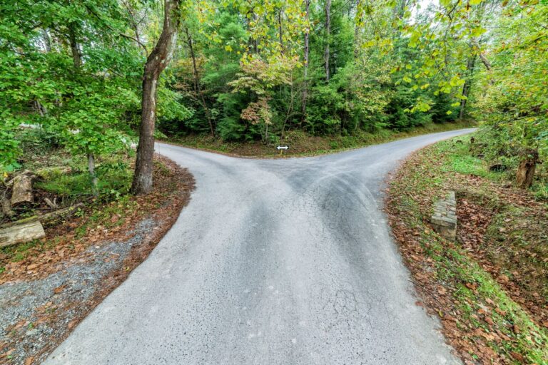 Fork in the road