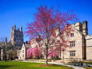 Yale